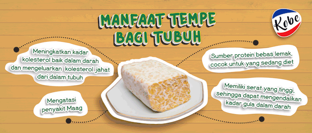 50 Fakta Tempe Menarik dan Unik 50 Fakta Tempe Menarik dan Unik